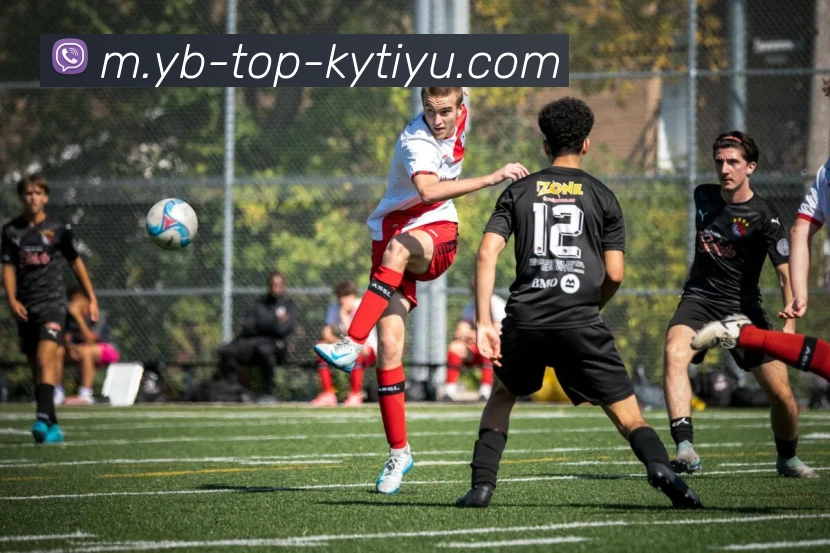 开云体育发展历程